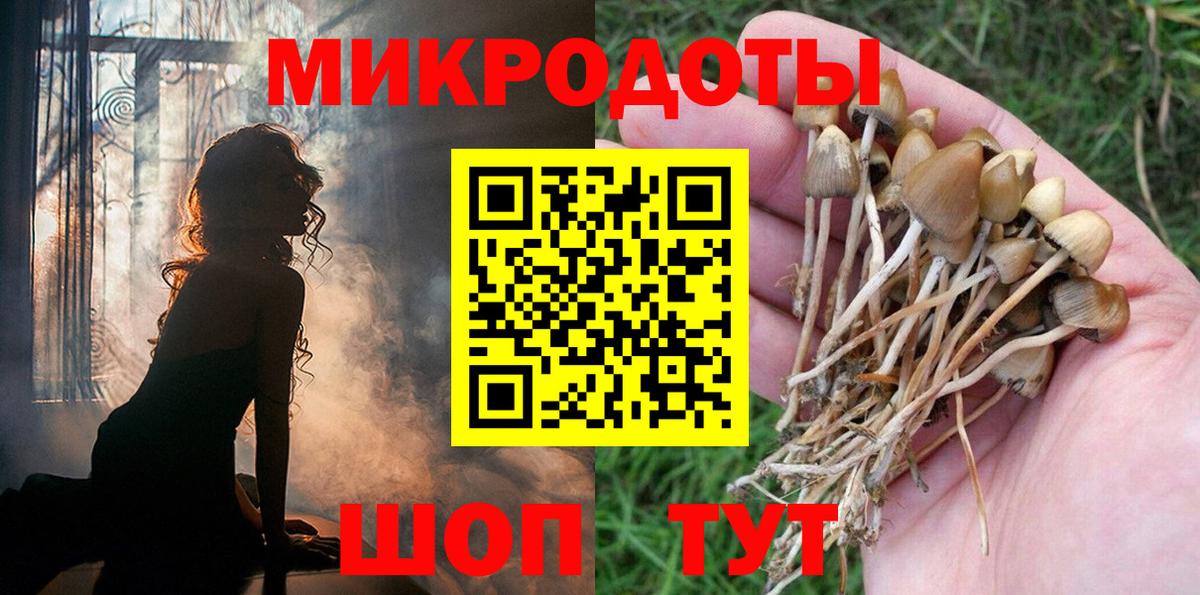 Галлюциногенные грибы Magic Shrooms  Вход с VPN  Холмск  Галлюциногенные грибы ЛСД 